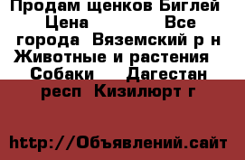 Продам щенков Биглей › Цена ­ 15 000 - Все города, Вяземский р-н Животные и растения » Собаки   . Дагестан респ.,Кизилюрт г.